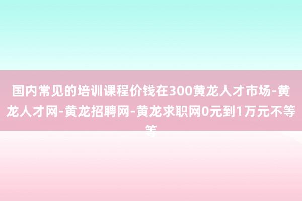 国内常见的培训课程价钱在300黄龙人才市场-黄龙人才网-黄龙招聘网-黄龙求职网0元到1万元不等